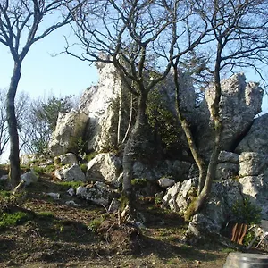 Le Rocher Du Samoyède Maison d'hôtes Dirinon